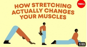 How stretching actually changes your muscles - Malachy McHugh