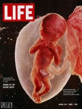 LIFE Selects Best-Ever Science Photos