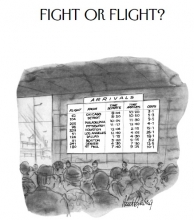FIGHT OR FLIGHT?