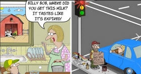 Where did you get this milk? ...