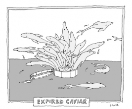 EXPIRED CAVIAR