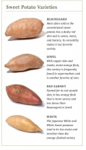 Sweet Potato Varieties