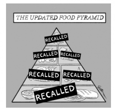 THE UPDATED FOOD PYRAMID