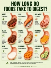 HOW LONG DO FOODS TAKE TO DIGEST?