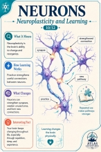 NEURONS